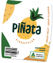 pinata-pineapples.png