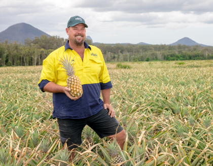 Man standing in a pineapple field with mountains in the background
