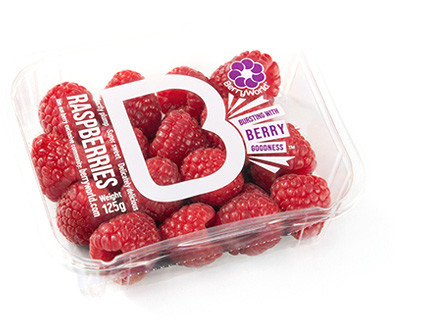 berryworld-raspberries.jpg